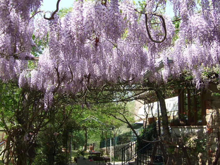 Отель Agriturismo Oasi Verde Mengara Губбио Экстерьер фото
